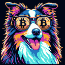 BTC Shades australian shepherd